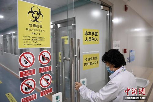 探访北京新冠肺炎病毒核酸检测服务 自费260元背后的高效与便捷