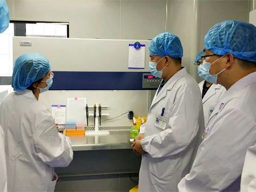 我市四家核酸检测实验室全部建成投用，日最高检测能力近五千人份