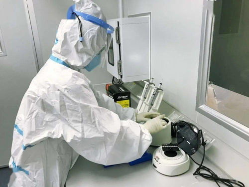 四会提供新冠病毒核酸检测服务，最快3小时可出报告